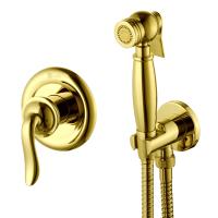 Смеситель Lemark Brava/Брава LM4719G с гигиеническим душем, встраиваемый