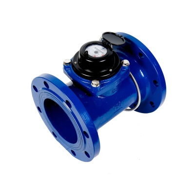 Счетчик воды Бетар 150Х, СТВ