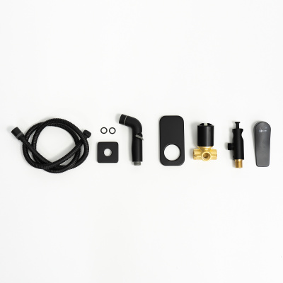 Смеситель LEMARK BRONX  настенный с гигиеническим душем, встраеваемый, черный LM3719BL