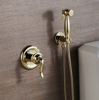 Смеситель Lemark Brava/Брава LM4719G с гигиеническим душем, встраиваемый